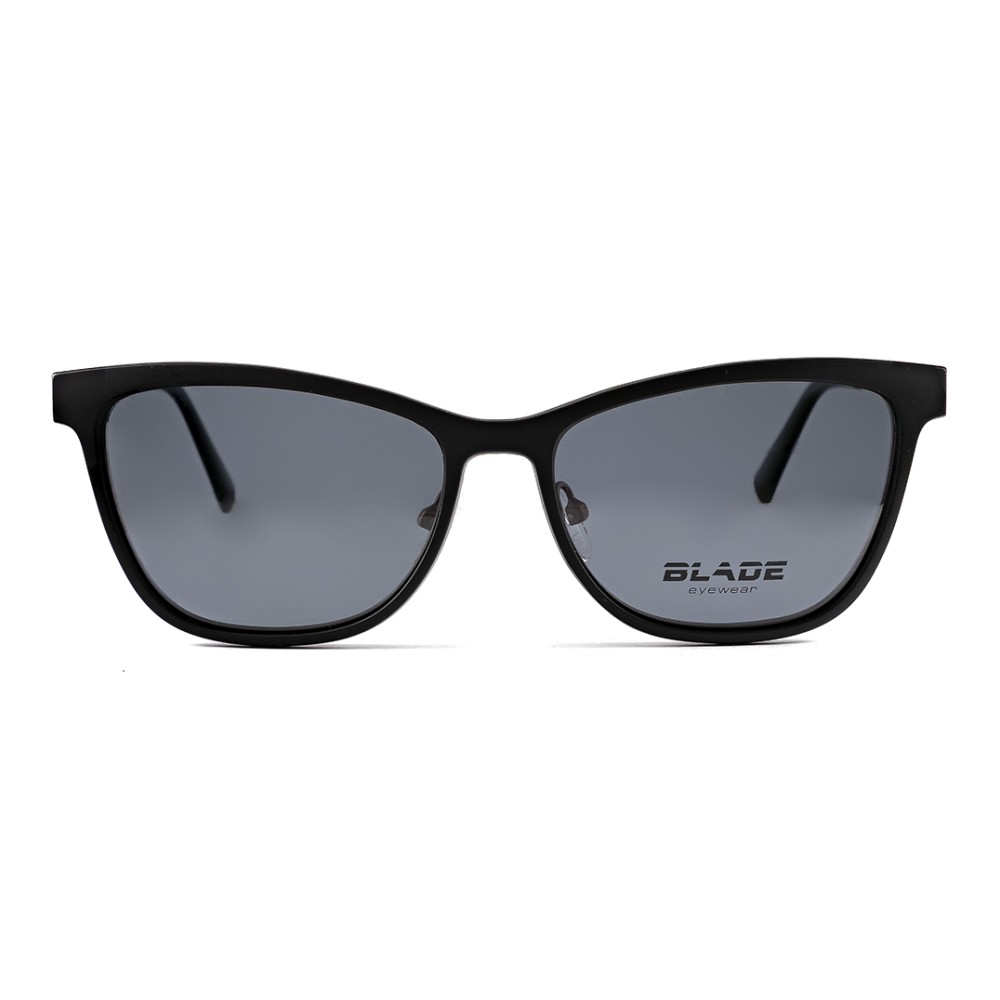 Blade 212 clip on