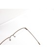 Blade 210 clip on