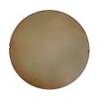CR39 Photochromic Brown
