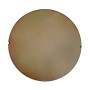 CR39 Photochromic Brown