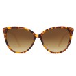 REFLET RR 1126