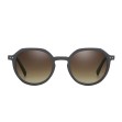 REFLET RR 046